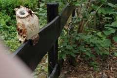 Mehrtagestour-Harz-2